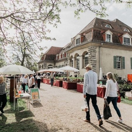 Menschen spazieren durch einen Park, während ein lebhafter Außenmarkt im Hintergrund stattfindet.